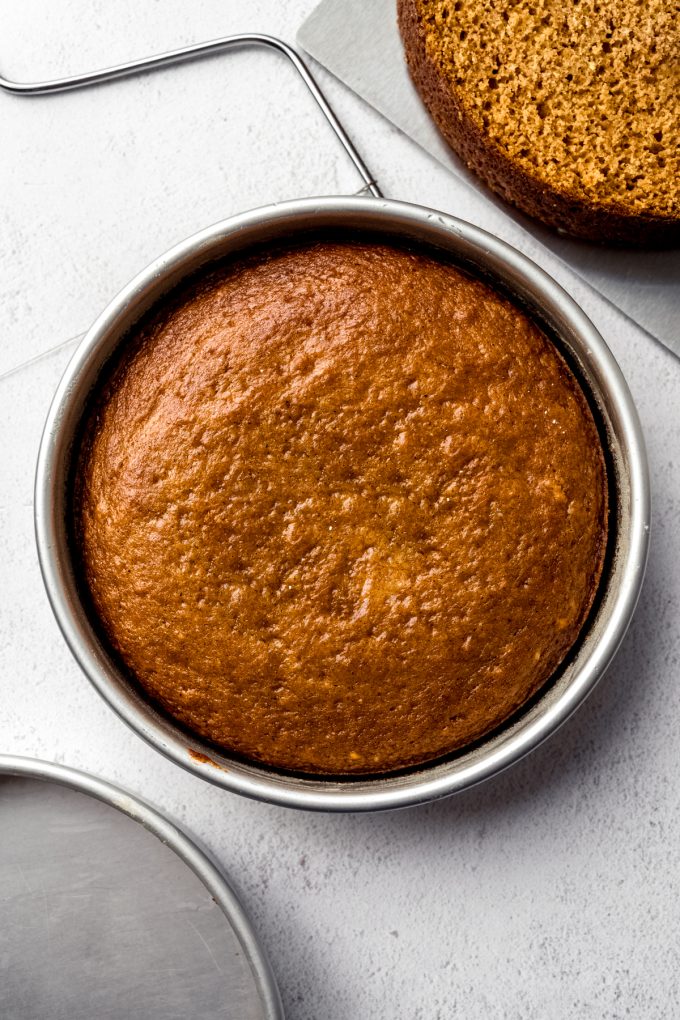 Aerial photo of a round cake pan with a layer of pumpkin cake in it.
